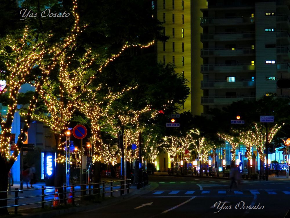 神戸 ハーバーランド夜景を駅から港まで 魅力ある撮影スポット散策 兵庫県 トラベルjp 旅行ガイド