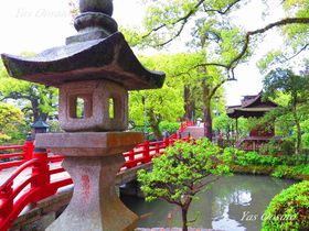 �����ό�1��2�����f���R�[�X �p���[�X�|�b�g���O�������C�𖞋i�I�̋L���T���l�C��