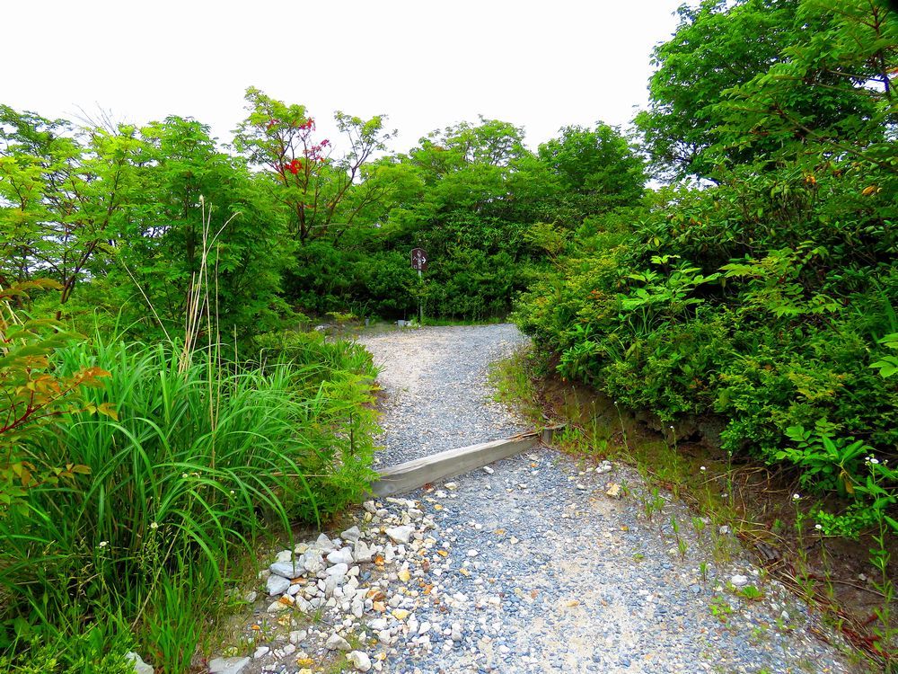 F]RΔȂ̋ɊylƌܒqRW]