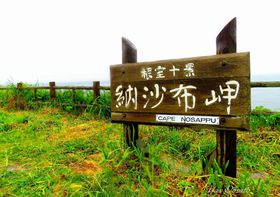 \iE[zƖk ]̉ƂŒmk̓y̋LTlC