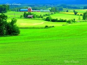 lAxǖ̌ǂTIIx_[ƔԂ̐E̋LTlC