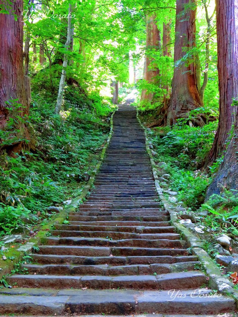 2446の石段半端ない 国宝羽黒山五重塔から出羽三山神社へ 山形県 Lineトラベルjp 旅行ガイド