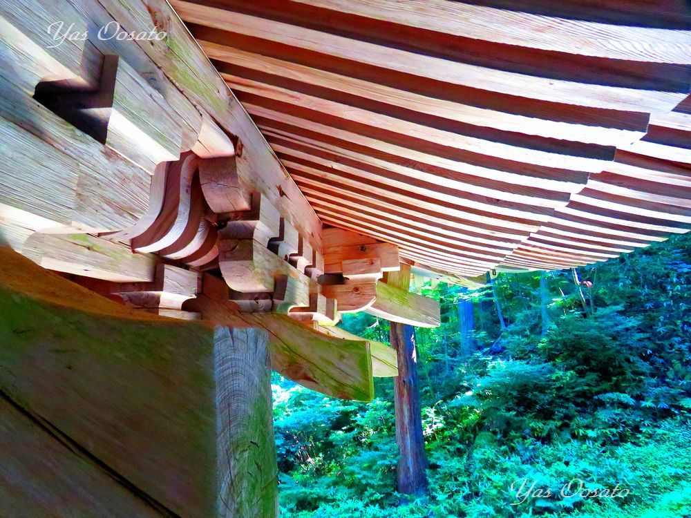 2446の石段半端ない！国宝羽黒山五重塔から出羽三山神社へ | 山形県