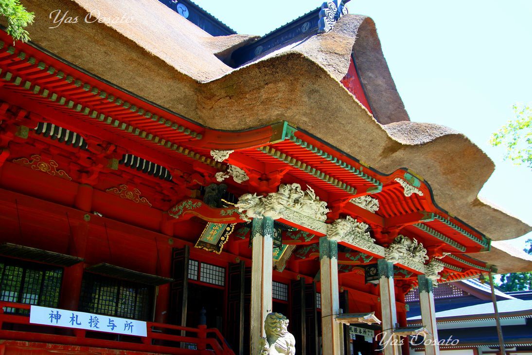 2446の石段半端ない！国宝羽黒山五重塔から出羽三山神社へ | 山形県