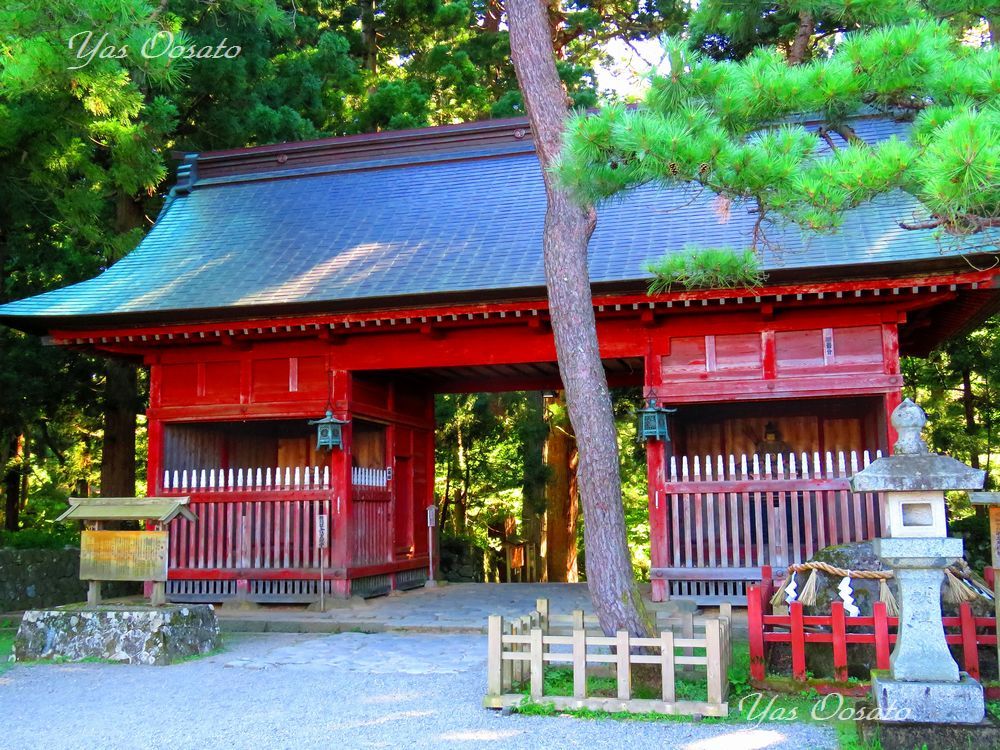 2446の石段半端ない 国宝羽黒山五重塔から出羽三山神社へ 山形県 Lineトラベルjp 旅行ガイド