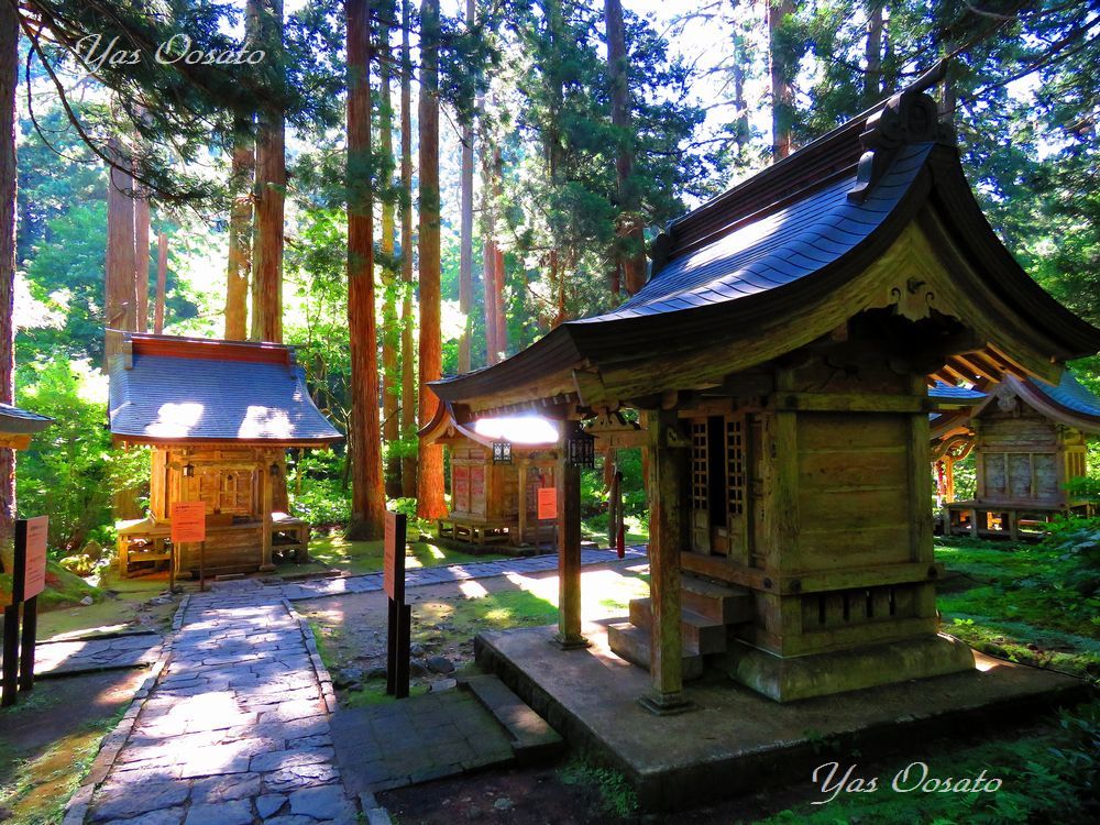 2446の石段半端ない！国宝羽黒山五重塔から出羽三山神社へ | 山形県