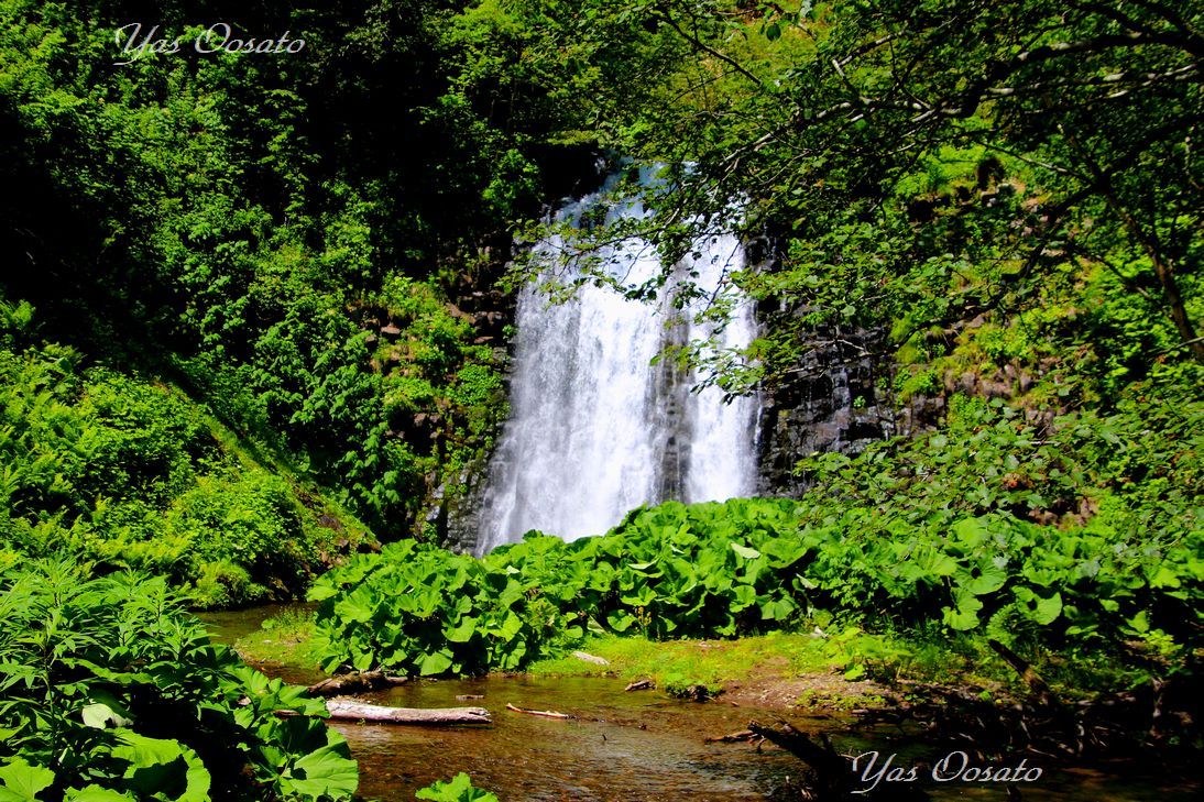 �u�F�z�̑�v�܂ł͂S�O�O���[�g��