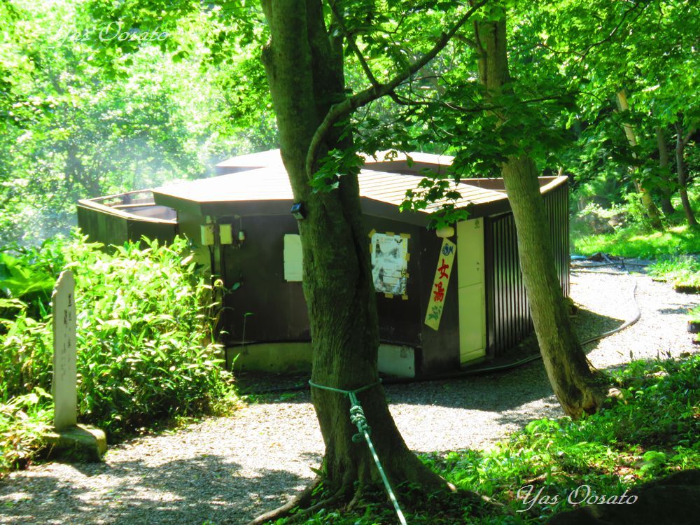 �Ō�͂̂�т�u���P����F�̓��v