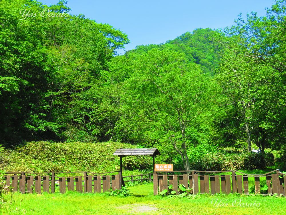 ���P�r�W�^�[�Z���^�[��������ĂT���u���P�̊ԟ[��v