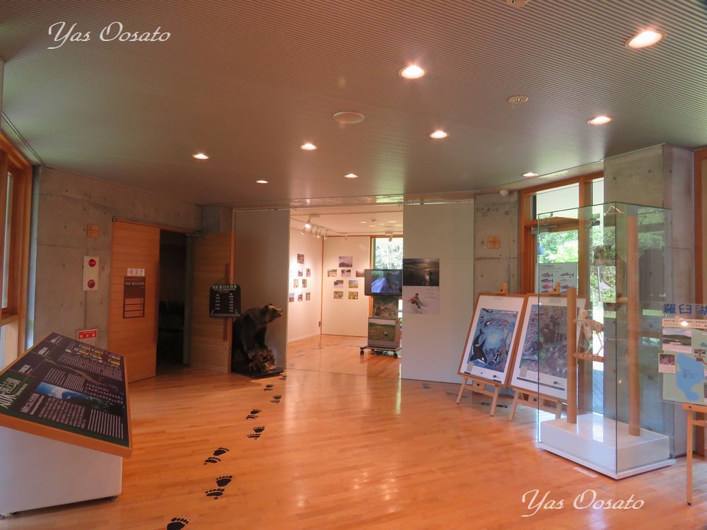 �厖�ȁu���P�r�W�^�[�Z���^�[�v�ł̏����W