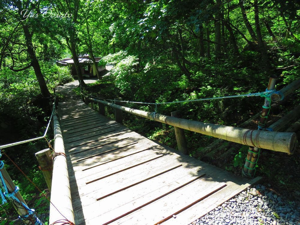 �Ō�͂̂�т�u���P����F�̓��v