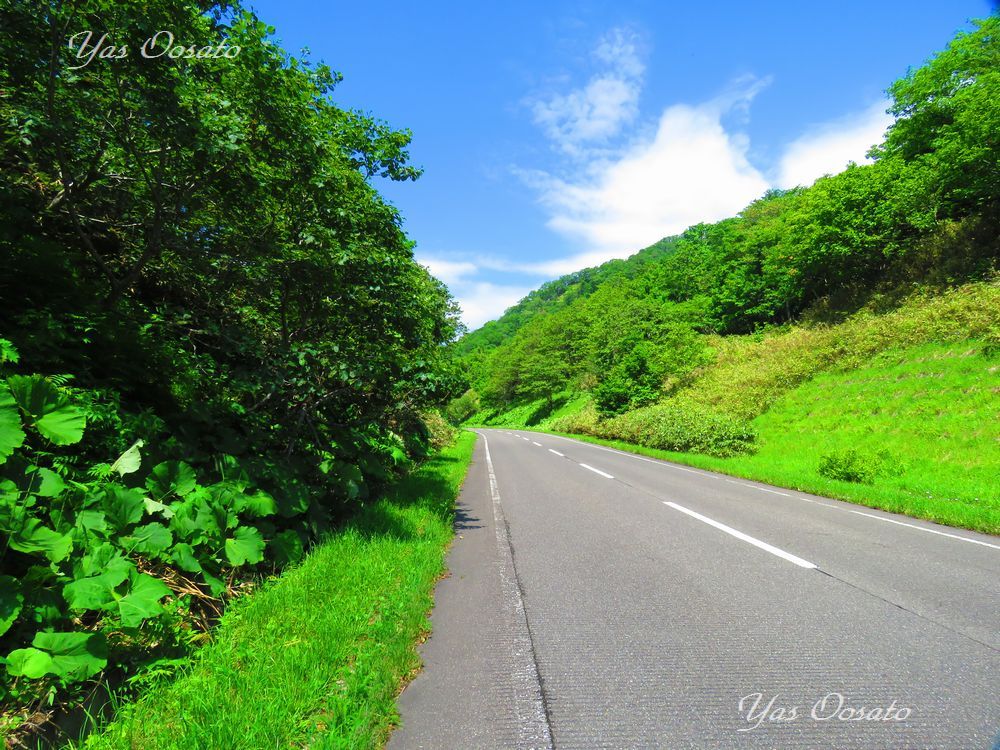 �F�z�̑�܂ŕ��������R�R�S������������