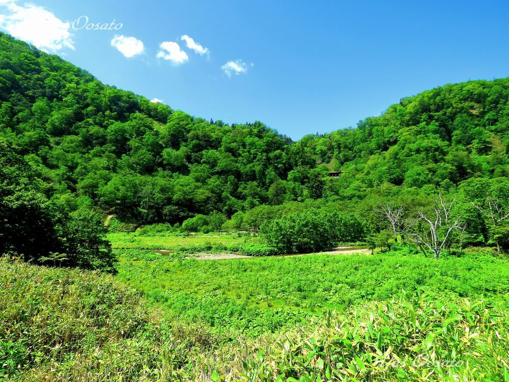 �F�z�̑�܂ŕ��������R�R�S������������