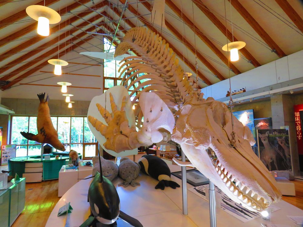 �厖�ȁu���P�r�W�^�[�Z���^�[�v�ł̏����W