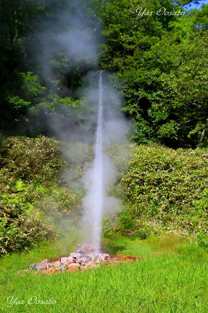 ���P�r�W�^�[�Z���^�[��������ĂT���u���P�̊ԟ[��v