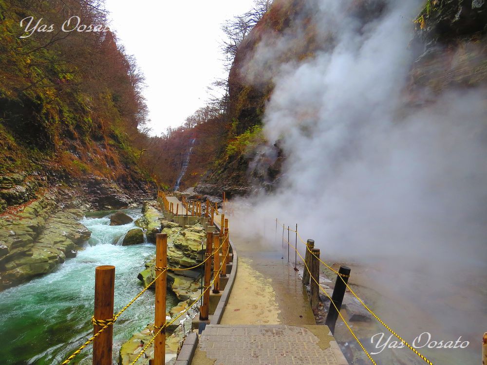 27�D����������