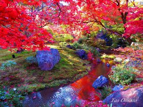 ���s�̍g�t�ό��͗��R�I�󌵉@�ň��|�I�ȐF�̐��E�̋L���T���l�C��