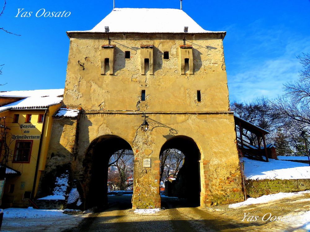 ǂň͂܂ꂽEYuVMVAjnv