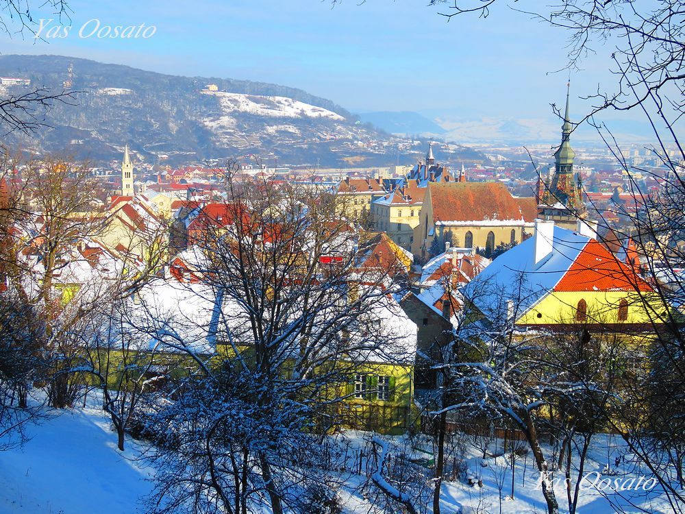 R㋳̍䂩猩낷i̋sXn