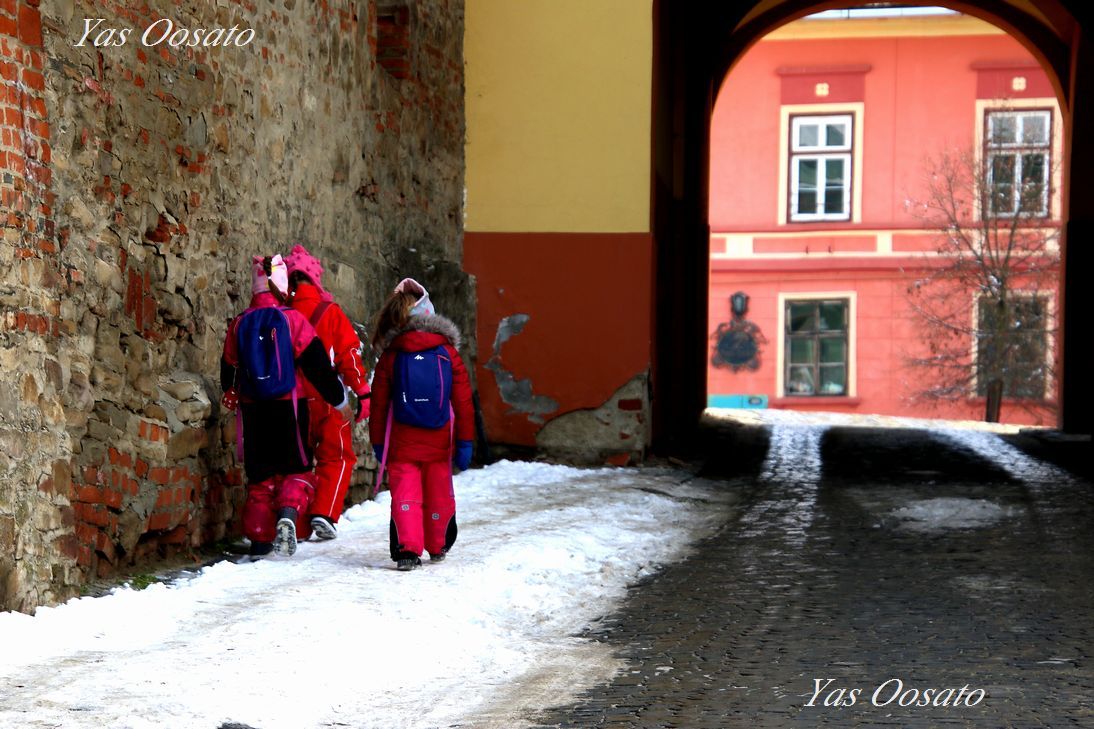 ǂň͂܂ꂽEYuVMVAjnv