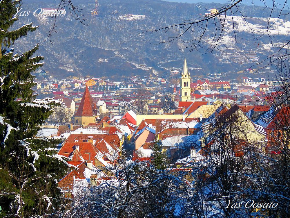 R㋳̍䂩猩낷i̋sXn