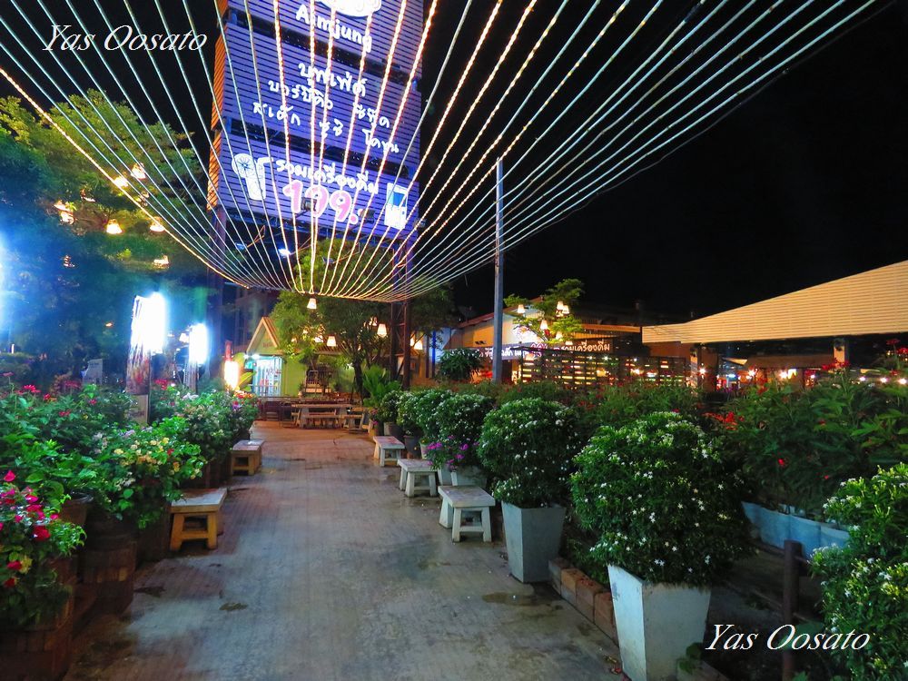 ^C̒lCXuAim Jung(CW)v