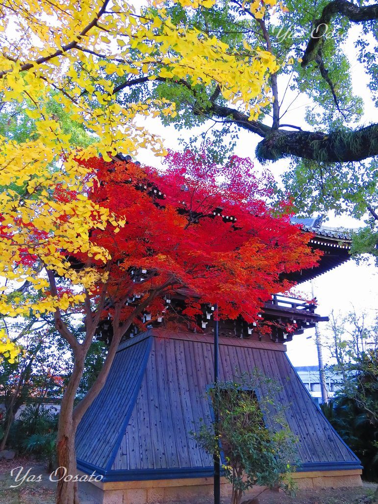 秋の昆陽寺