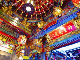 ��k�̓������@�ό��ŗ��R������߂��u�R�{�v�͊O���Ȃ��̋L���T���l�C��