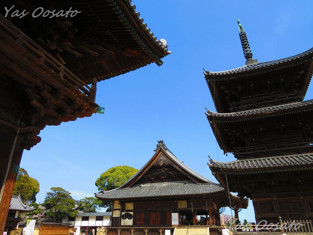 見どころ多数！日本三大奇祭「岡山・西大寺」を散策しよう