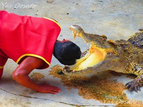 oRNAŁIȃNR_Ct@[Ńjނ聕V[̋LTlC