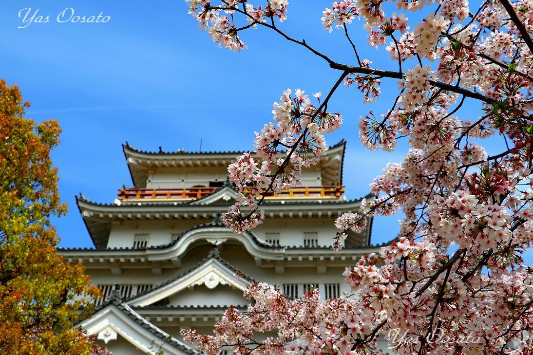 春の広島観光は桜の福山城へ！石垣と苔の美しさも見逃せない和の空間