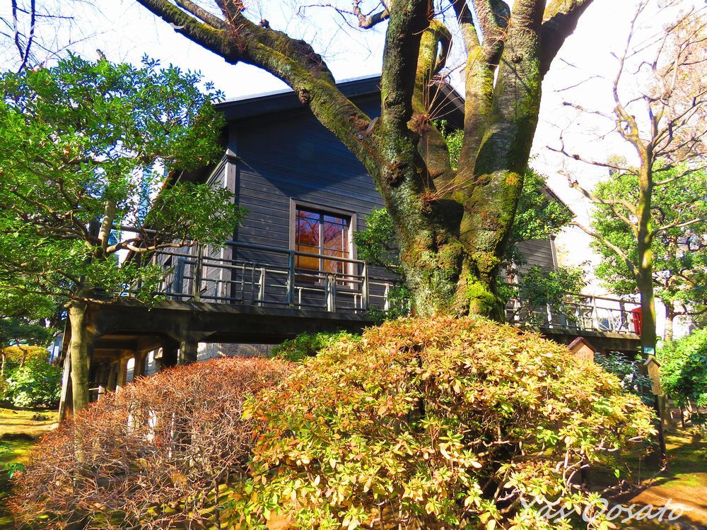 赤坂乃木坂近くで必見！現存する日露戦争「乃木希典」大将の旧邸宅 | 東京都 | トラベルjp 旅行ガイド