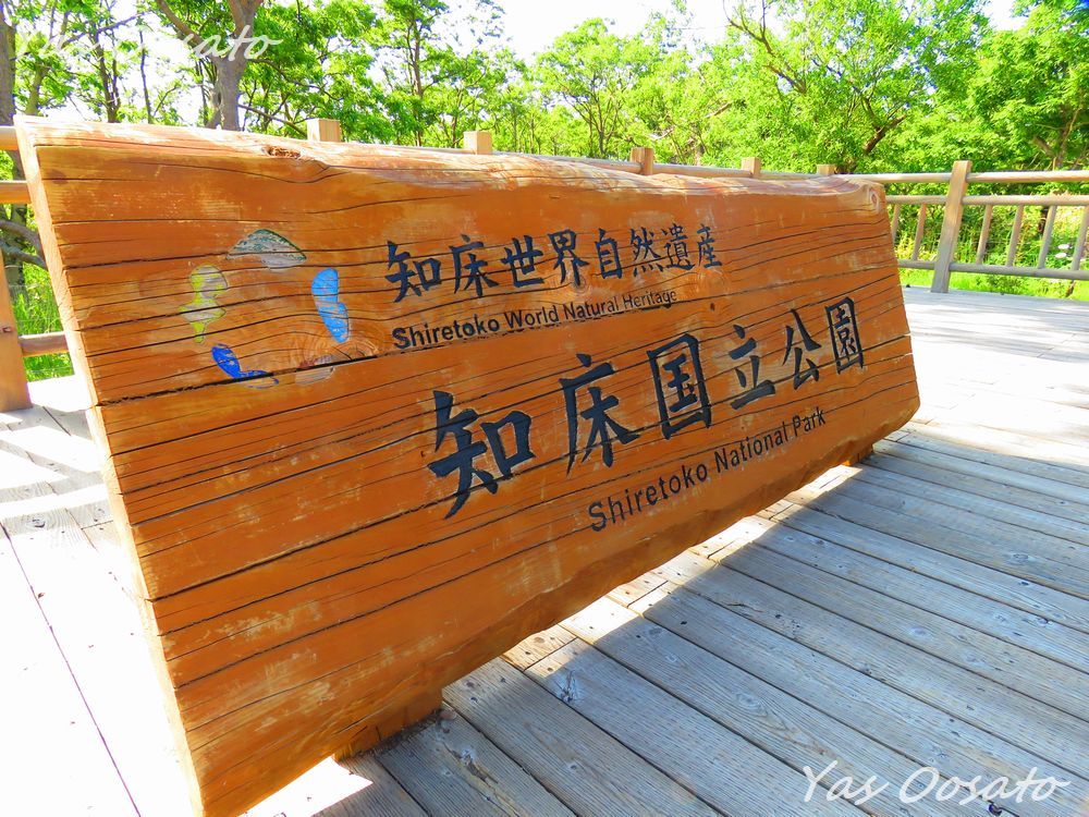 �t�B�[���h�n�E�X�ƃp�[�N�T�[�r�X�Z���^�[