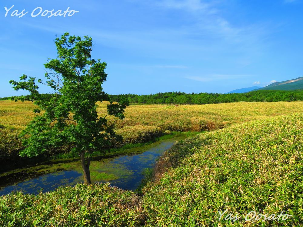 �ό��ł̒��ӎ���