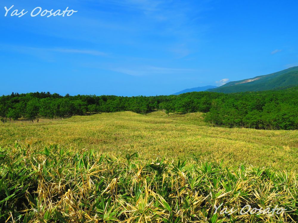 �ό��ł̒��ӎ���