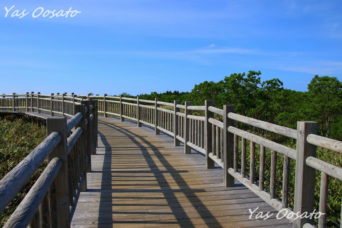 ��i���y���߂鍂�˖ؓ��ƓW�]��