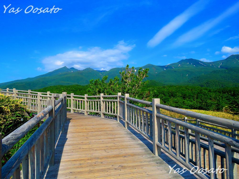 �t�B�[���h�n�E�X�ƃp�[�N�T�[�r�X�Z���^�[