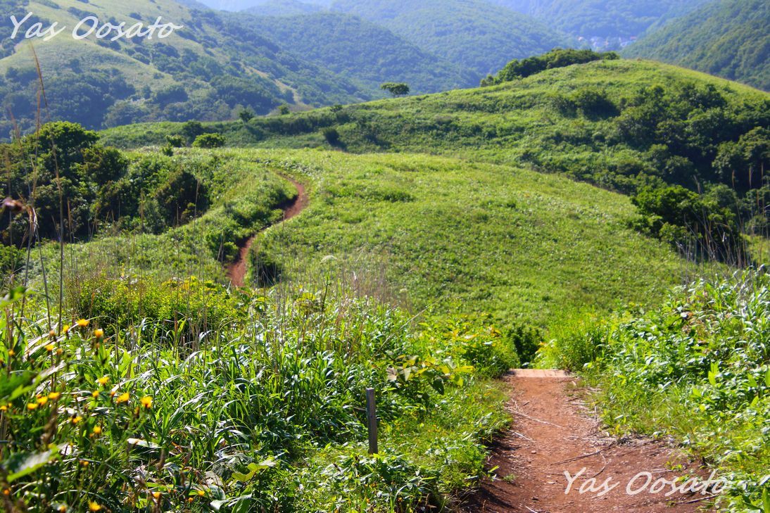 ϒOo䂩瓇ӊC݊C݃gl