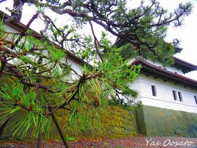 �y���ΎO���U�߂��u���R��(���O��)�v�͖k�C�����B��̓��{����s�̋L���T���l�C��