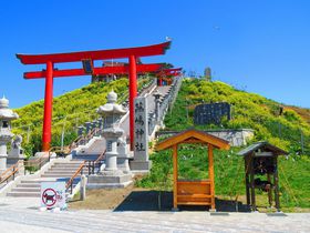 �X���˕ٍ��V�̕����_�Ђŉ^�C�A�b�v�I���킢���E�~�l�R���K���̋L���T���l�C��