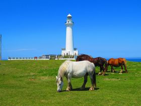 X̐^ȐK蓔ŁunvƗVڂ̋LTlC