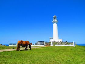 �X�̂������߃h���C�u�X�|�b�g10�I�̋L���T���l�C��