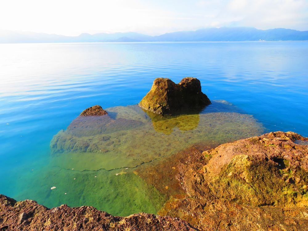 ����Ƀg�N���l�X�y�V�����ŏH�c�ցI�������ߊό��X�|�b�g10�I