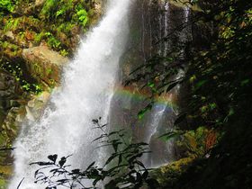 世界遺産・青森県白神山地の虹がかかる第3暗門の滝！