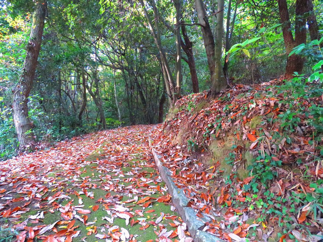 楯築遺跡に向かう秋の散策路