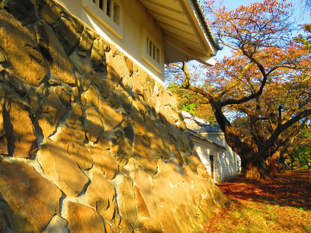 青森県にある天空の城 城山公園内 三戸城跡 の歴史と魅力 青森県 トラベルjp 旅行ガイド