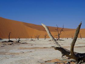 ナミビアの絶景！ナミブ砂漠の赤い砂丘と必見の神秘的な景色