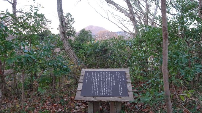 宿のコンセプトは伊豆高原に別荘を持つ