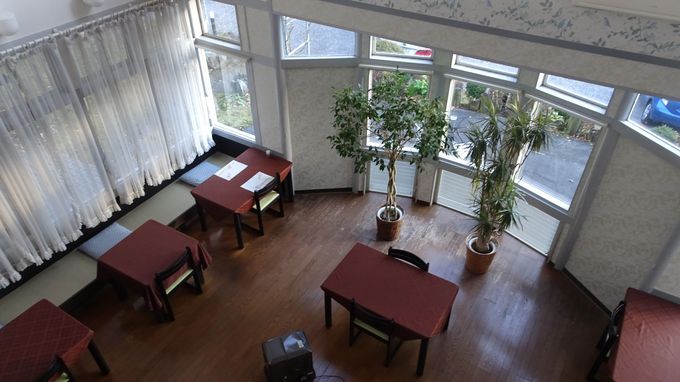 XɘȂޓ錚̖͂̓_CjȎ傫Ȑ