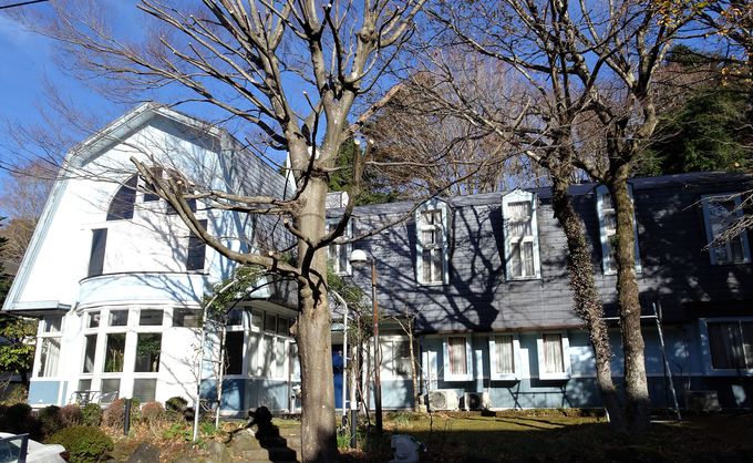 XɘȂޓ錚̖͂̓_CjȎ傫Ȑ